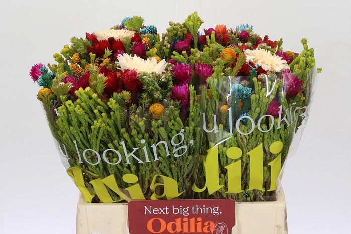 <h4>BQ Kaaps Groen Mandarin</h4>