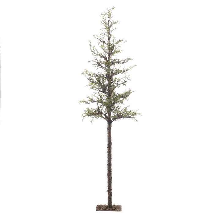 <h4>AF Larix Tree Stm 220cm</h4>