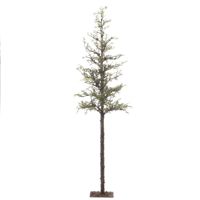 <h4>AF Larix Tree Stm 256cm</h4>