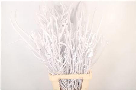 <h4>Berk Snow Per Bunch 90cm</h4>