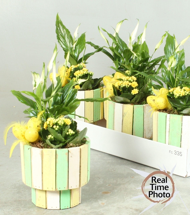 <h4>ARR KAMERPL</h4>