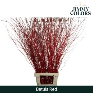 Betula L120 Red