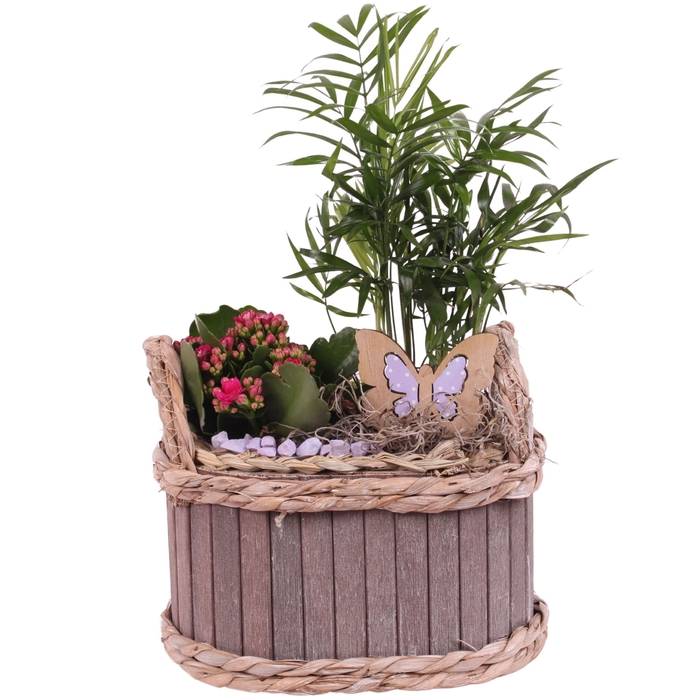<h4>Opm Summer Arr. Indoor Wooden Pot Oval Rim</h4>