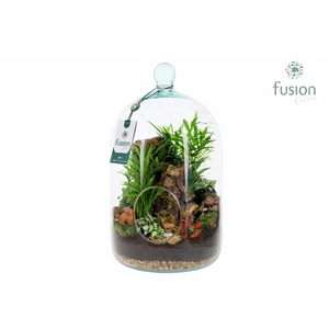Green Bottle Novella Large met arrangement
