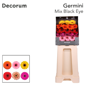Germini Mix Zwart Hart Diamond
