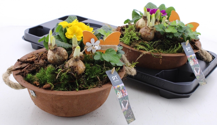 <h4>ARR PL IN SCHAAL</h4>