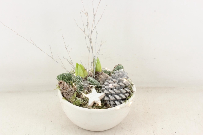 <h4>arr4 Hyacint MB - Ker. Sandy white LED</h4>