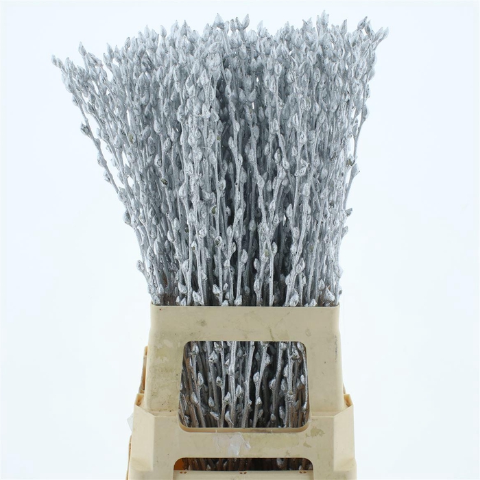 <h4>Salix Snow Flake Klb Silver</h4>