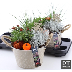 ARR TUINPLANTEN