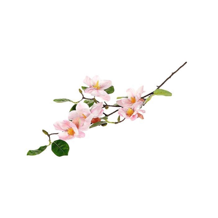 <h4>Branch Magnolia L94</h4>