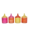 Bicolore Dutch Orange Mix Jars Ass 11x17cm