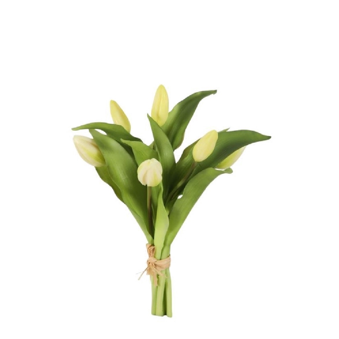 Tulipa boeket 32cm x7