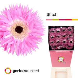 Gerbera Spider Stitch Diamond