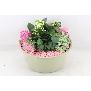 arr2 MB - Zink hoog groen - roze/wit