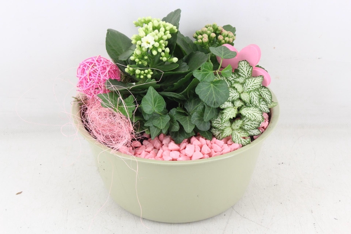 <h4>arr2 MB - Zink hoog groen - roze/wit</h4>