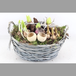 arr4 Bollenmix VL - Grijs wilgmand ovaal x2