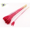 Triticum 3pc/Tuft Cerise