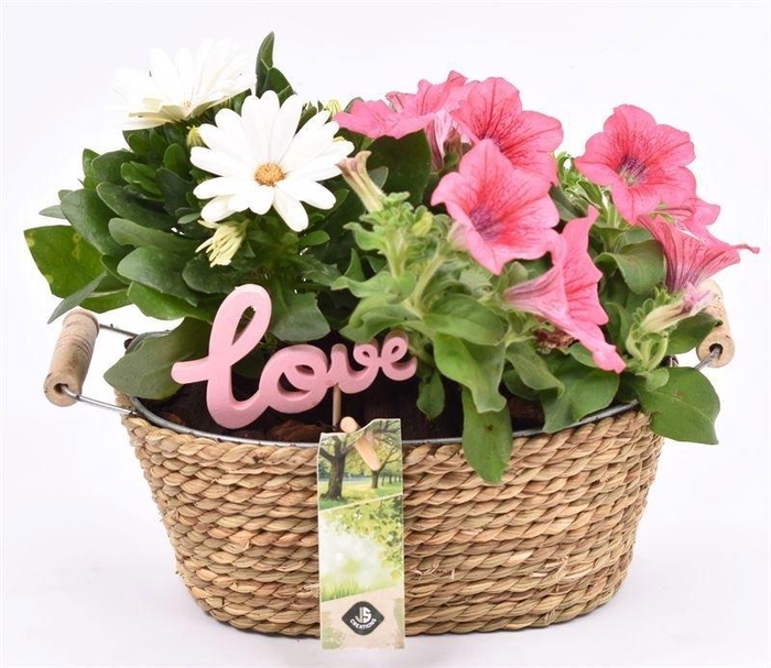 Touw met zink schaal ovaal 21x14cm