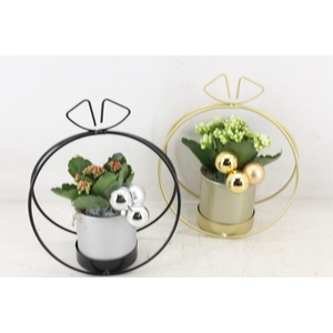 arr2 PL - Zink boog met strik mix x6 - rood/wit