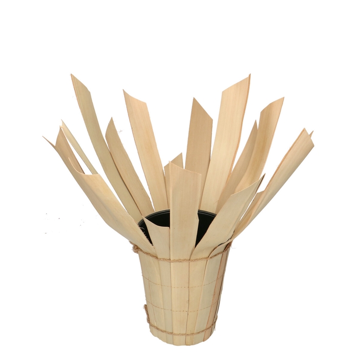 <h4>Bouquetholder Palm leaf d32*20cm</h4>