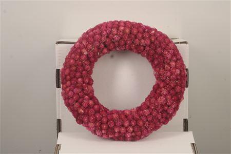 <h4>Wreath Gomphrena Pink 25cm</h4>
