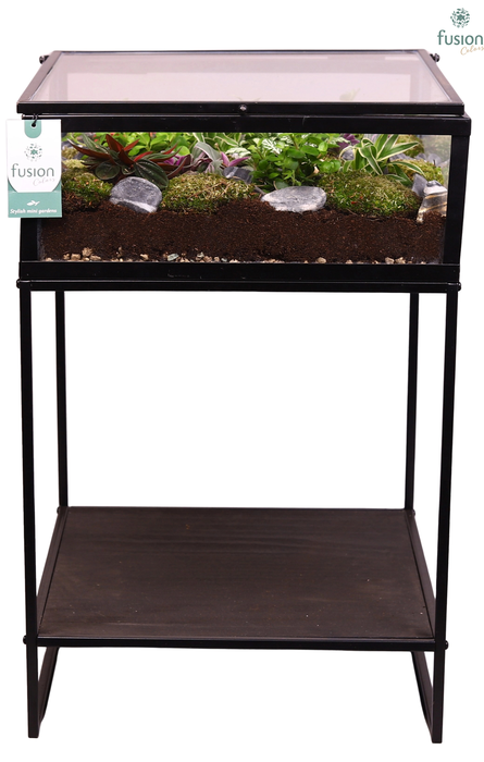 <h4>Metaal tafel met Groenen planten arrangement 10pp</h4>