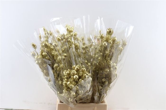 Dried Nigella Christmas Mix Bunch Slv