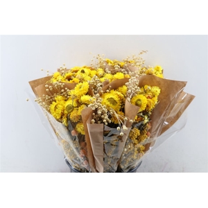 Dried Bouquet Yellow