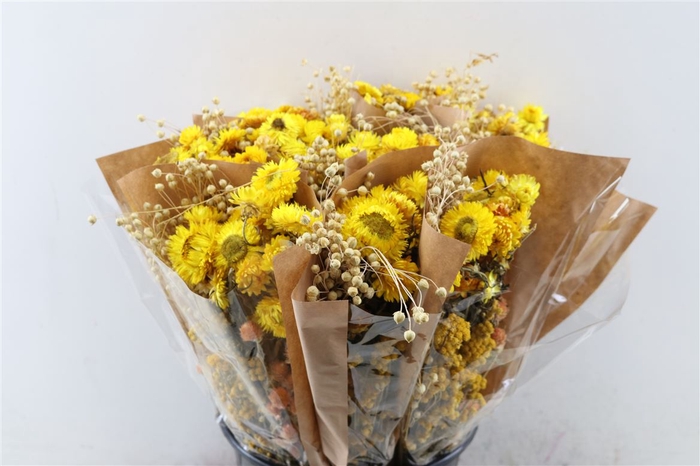 <h4>Dried Bouquet Yellow</h4>