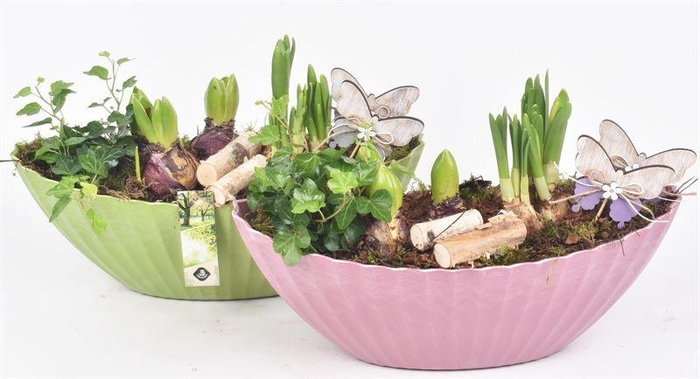 <h4>Ovaal boot plastic 36x15cm</h4>