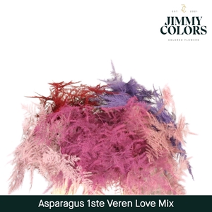 Aspa 1ste veren Love mix