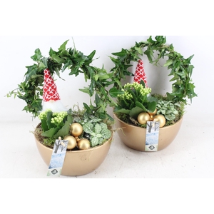 arr2 JS - Gold bowl Hedera boog x4