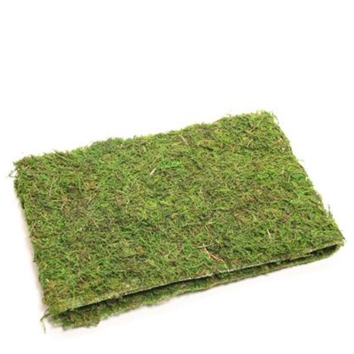 <h4>Dried articles Moss sheet 120*16cm</h4>
