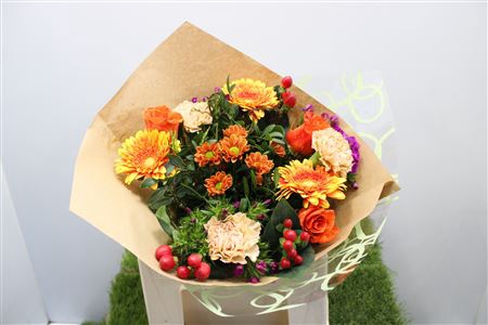 Gem Boe Middel Oranje 25 Stelen Vers