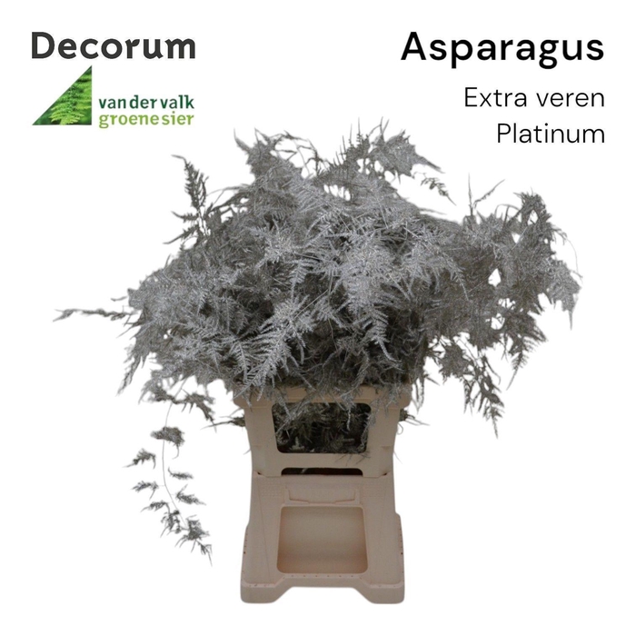 <h4>Asp extra veren Platinum</h4>