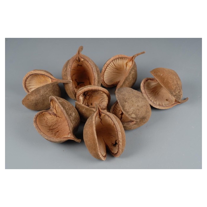<h4>BUDDHA NUTS NATUREL 8pcs</h4>