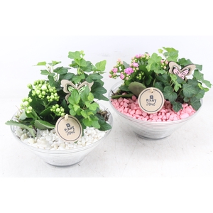 arr2 PL - Glas ribbel schaal x3 - roze/wit