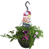 'Weekaanbieding; Hangpotten 27 waterreservoir mix 03 Paarse mix