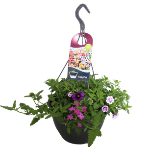 Hangpotten 27 waterreservoir mix 03 Paarse mix