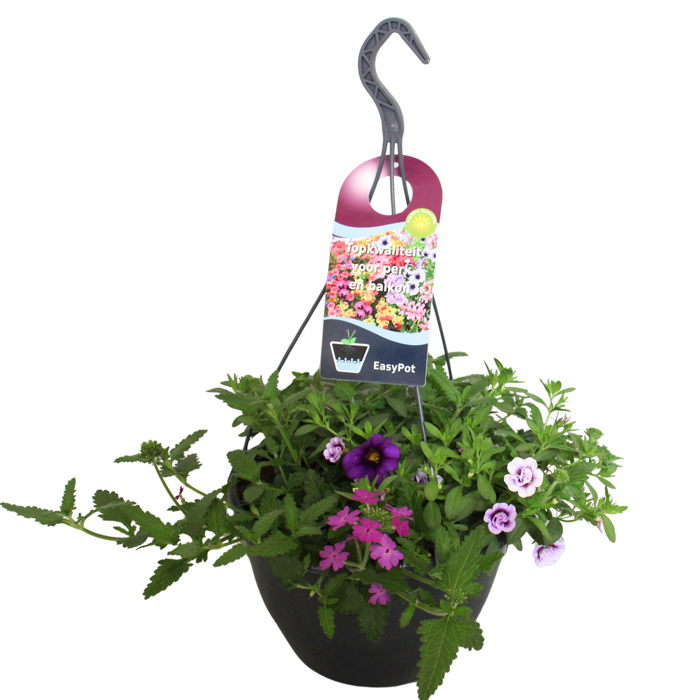 <h4>Hangpotten 27 waterreservoir mix 03 Paarse mix</h4>