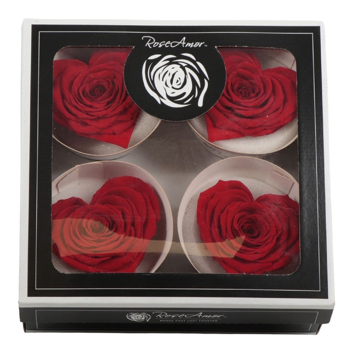 <h4>Rosa Preserved Heart Bella Red 02</h4>