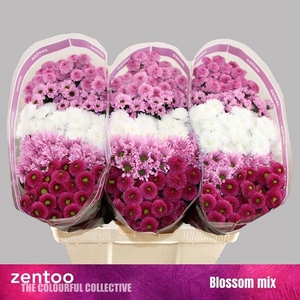 CHR SAN GEM SWEET MIX