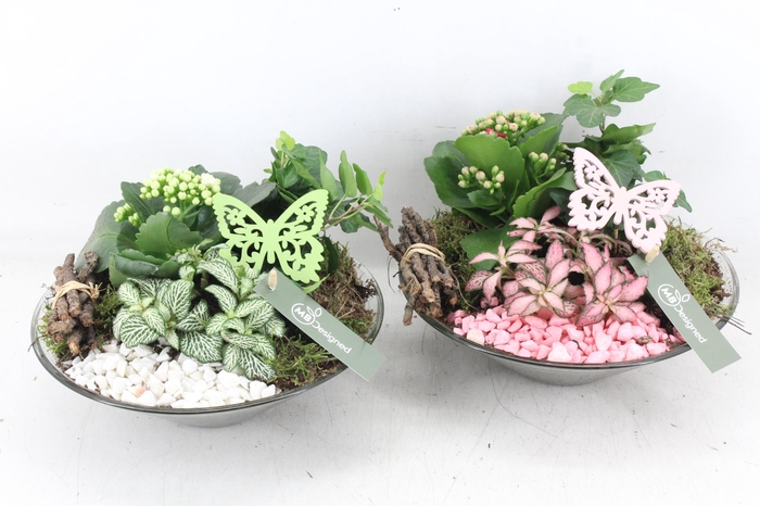 <h4>arr2 MB - Glas schaal ribbel - roze/wit</h4>