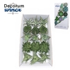 Aloe Mix (wincx) Cutflower