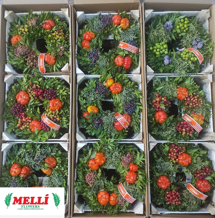 <h4>SIERFRUIT KRANS H%</h4>