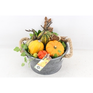 arr4 Sierfruit JS - Zink pot oor 338/3