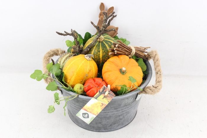 <h4>arr4 Sierfruit JS - Zink pot oor 338/3</h4>