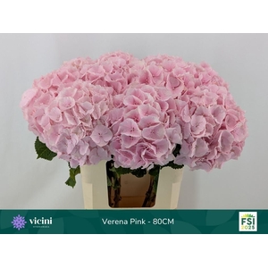 HYDR M CH VERENA