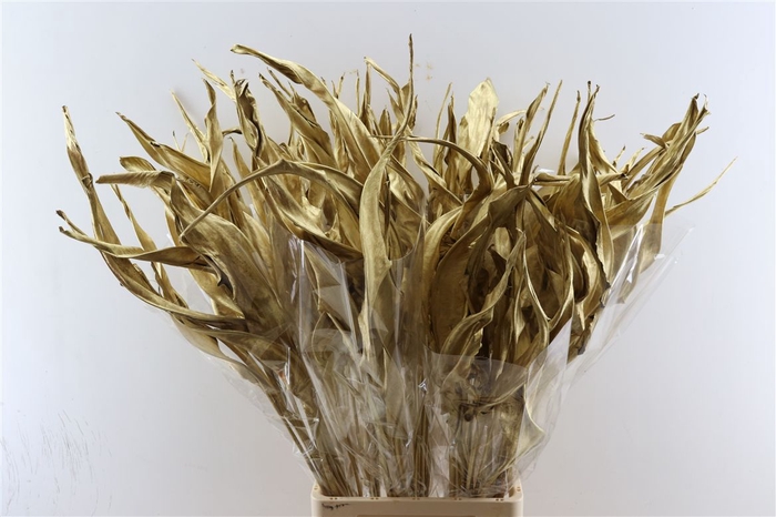 <h4>Dried Strelitzia 10pc Antiek Gold Bunch Slv</h4>