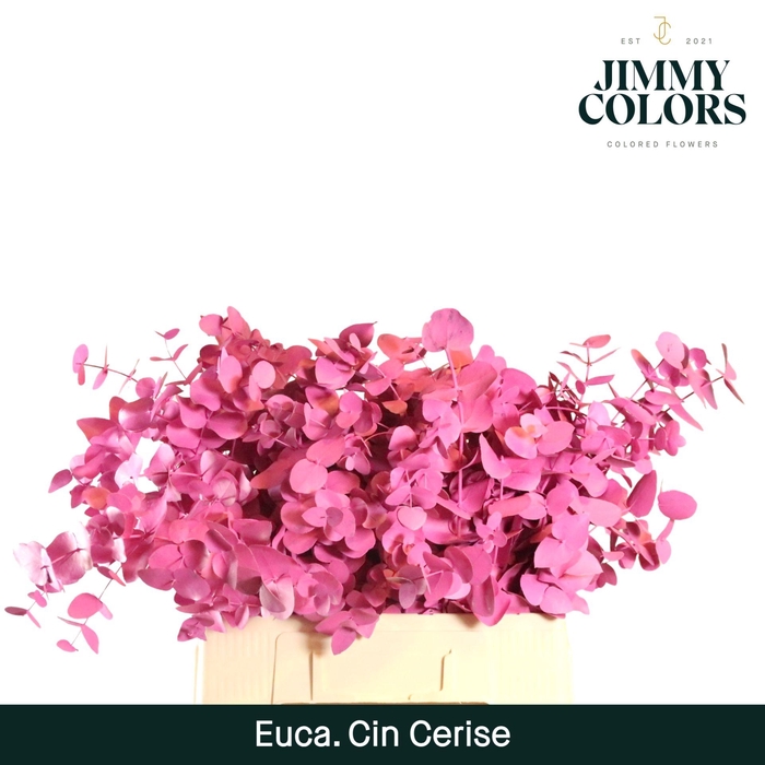 <h4>Cinerea per bos 200g Cerise</h4>